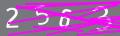 capsa